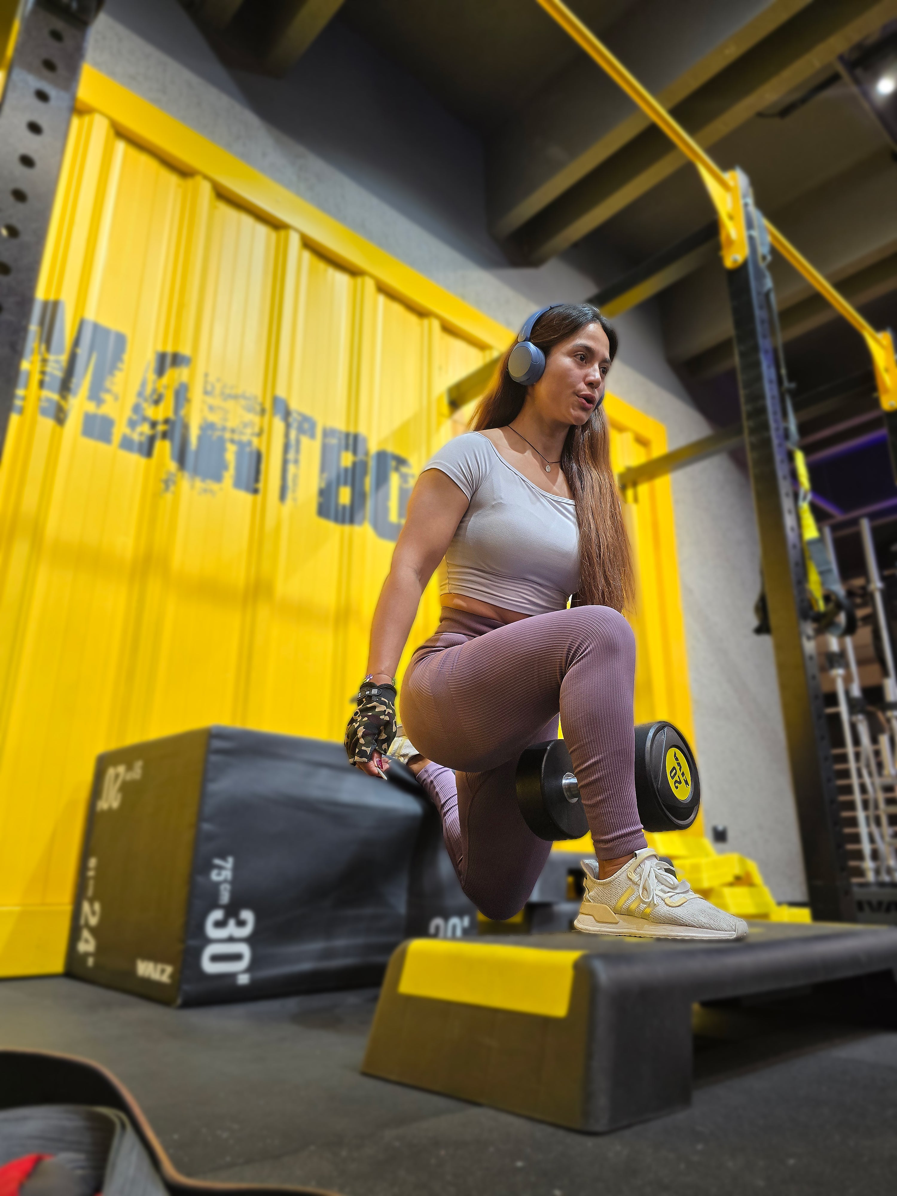 Plan Premium: Entrenamiento y Asesoría Personalizada