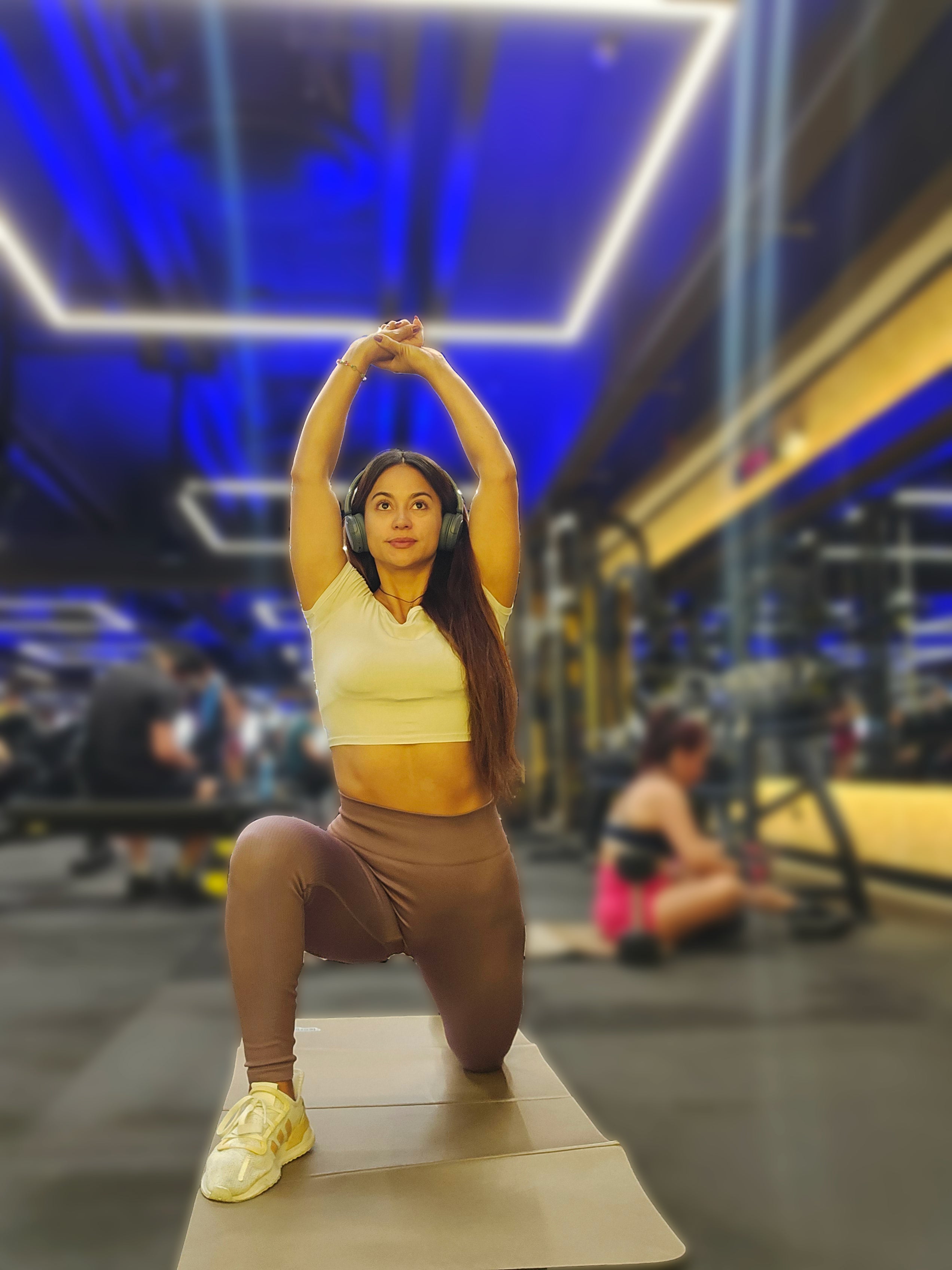 Plan Premium: Entrenamiento y Asesoría Personalizada